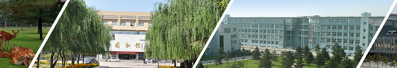 内蒙古科技大学（本科）