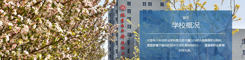 北京电子科技职业学院（专科）