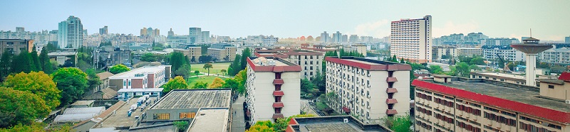 上海财经大学（本科）