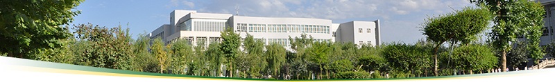 塔里木大学（本科）