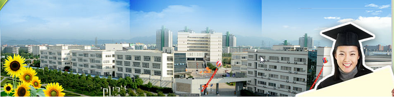 宁波城市职业技术学院（专科）