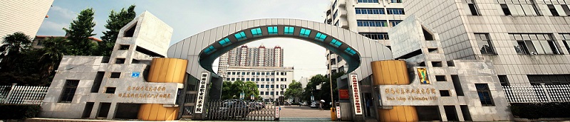 湖南信息职业技术学院（专科）