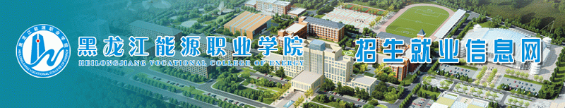 黑龙江能源职业学院  （专科）