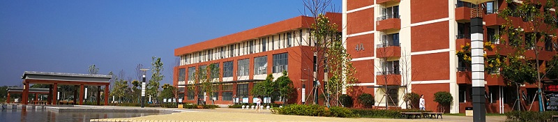武汉纺织大学外经贸学院（本科）