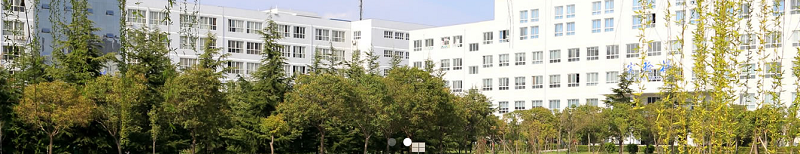 陕西科技大学镐京学院（本科）