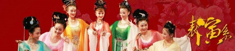 安徽黄梅戏艺术职业学院（专科）